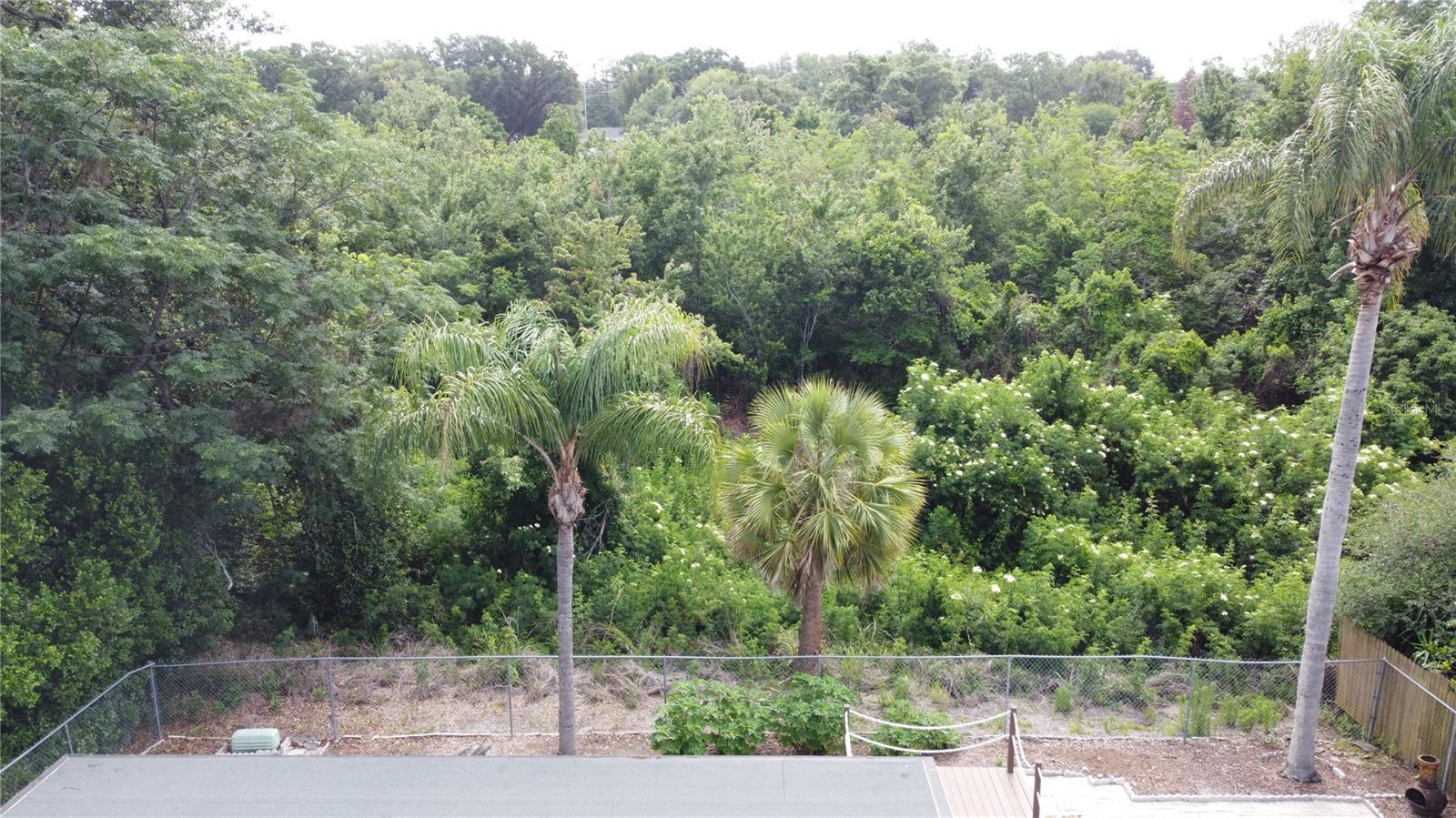 653 GREEN MEADOW AVE, MAITLAND, FL — photo 62