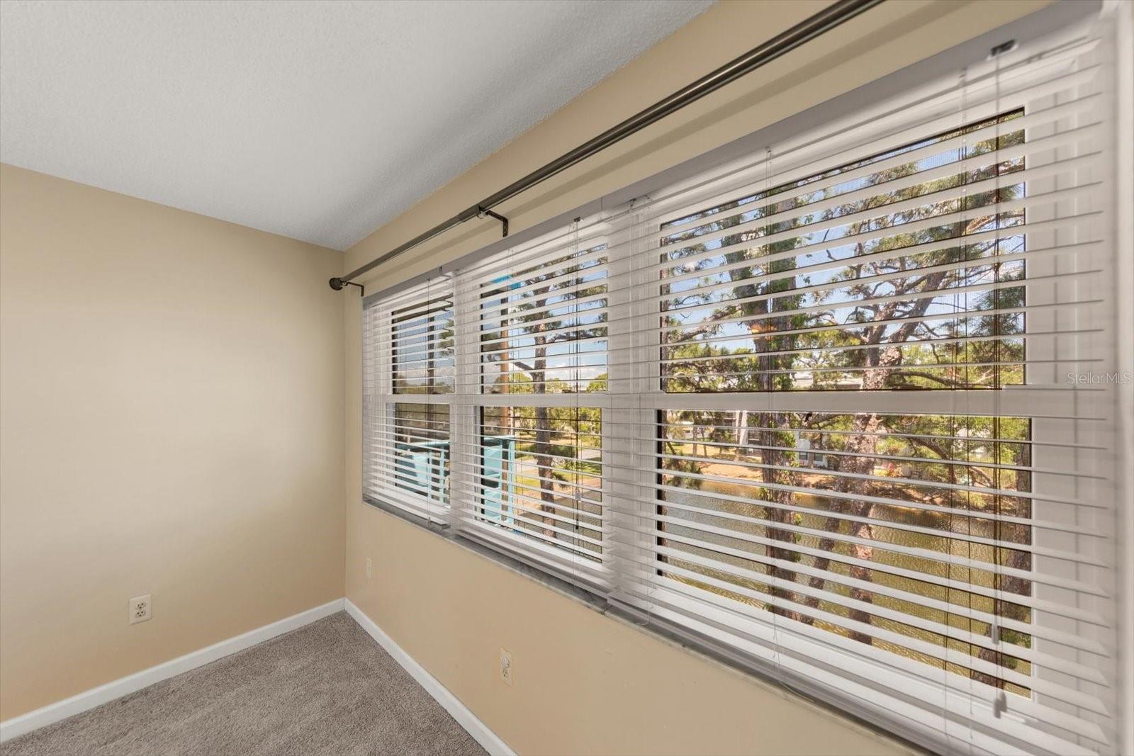 5970 80TH ST N #411, ST PETERSBURG, FL — photo 22