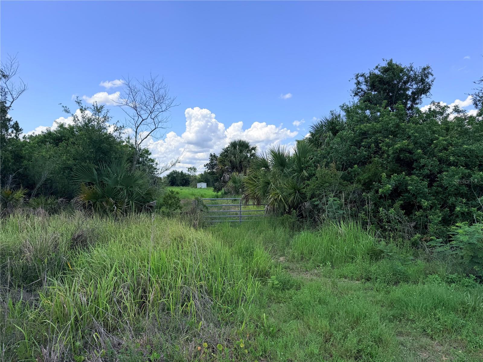 29455 PINE VILLA CIR, PUNTA GORDA, FL — photo 16
