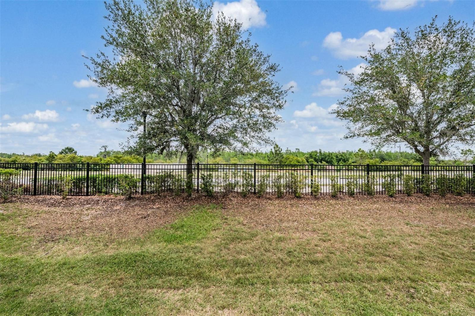 29947 SOUTHWELL LN, WESLEY CHAPEL, FL — photo 29