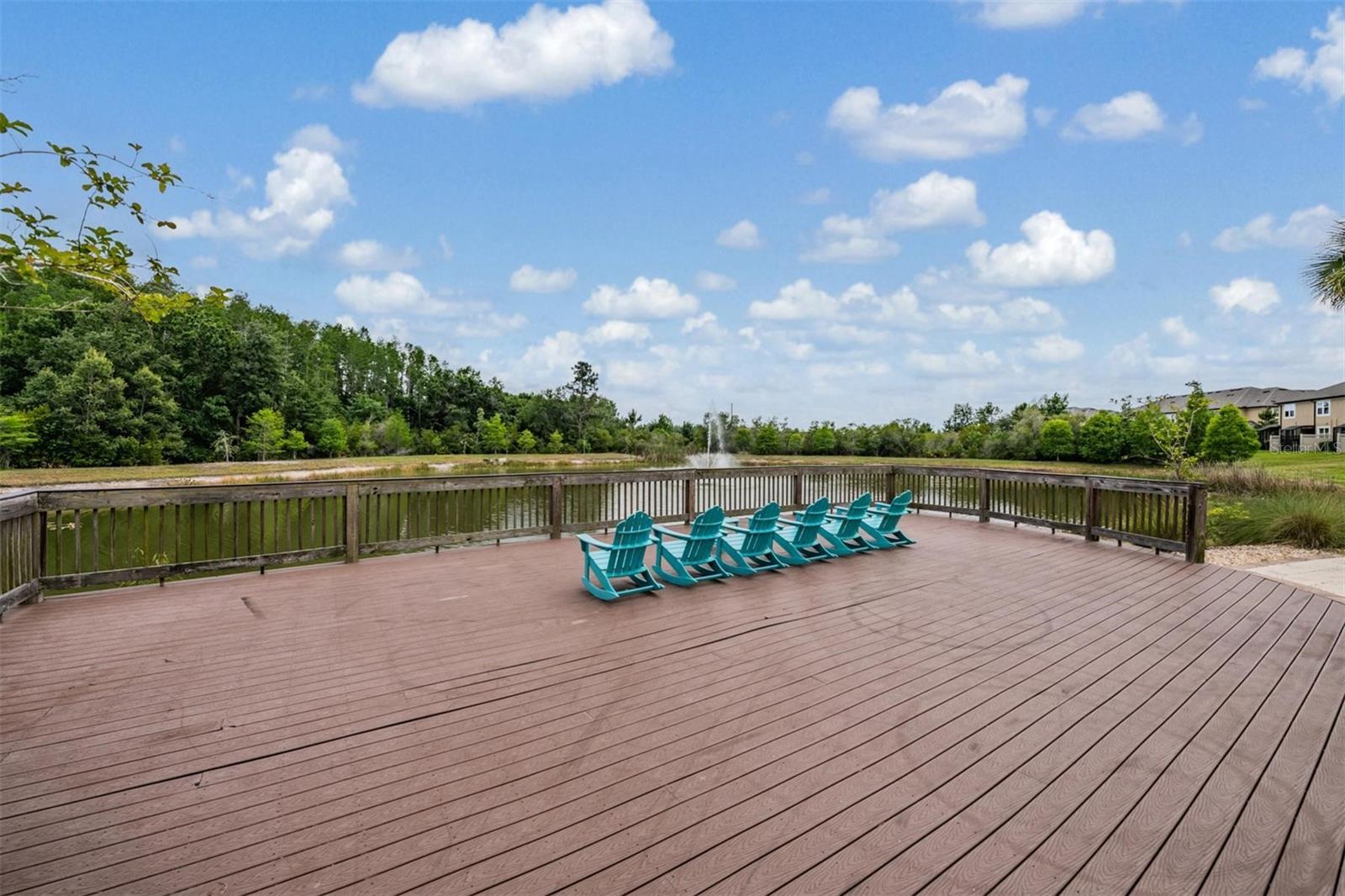 29947 SOUTHWELL LN, WESLEY CHAPEL, FL — photo 33