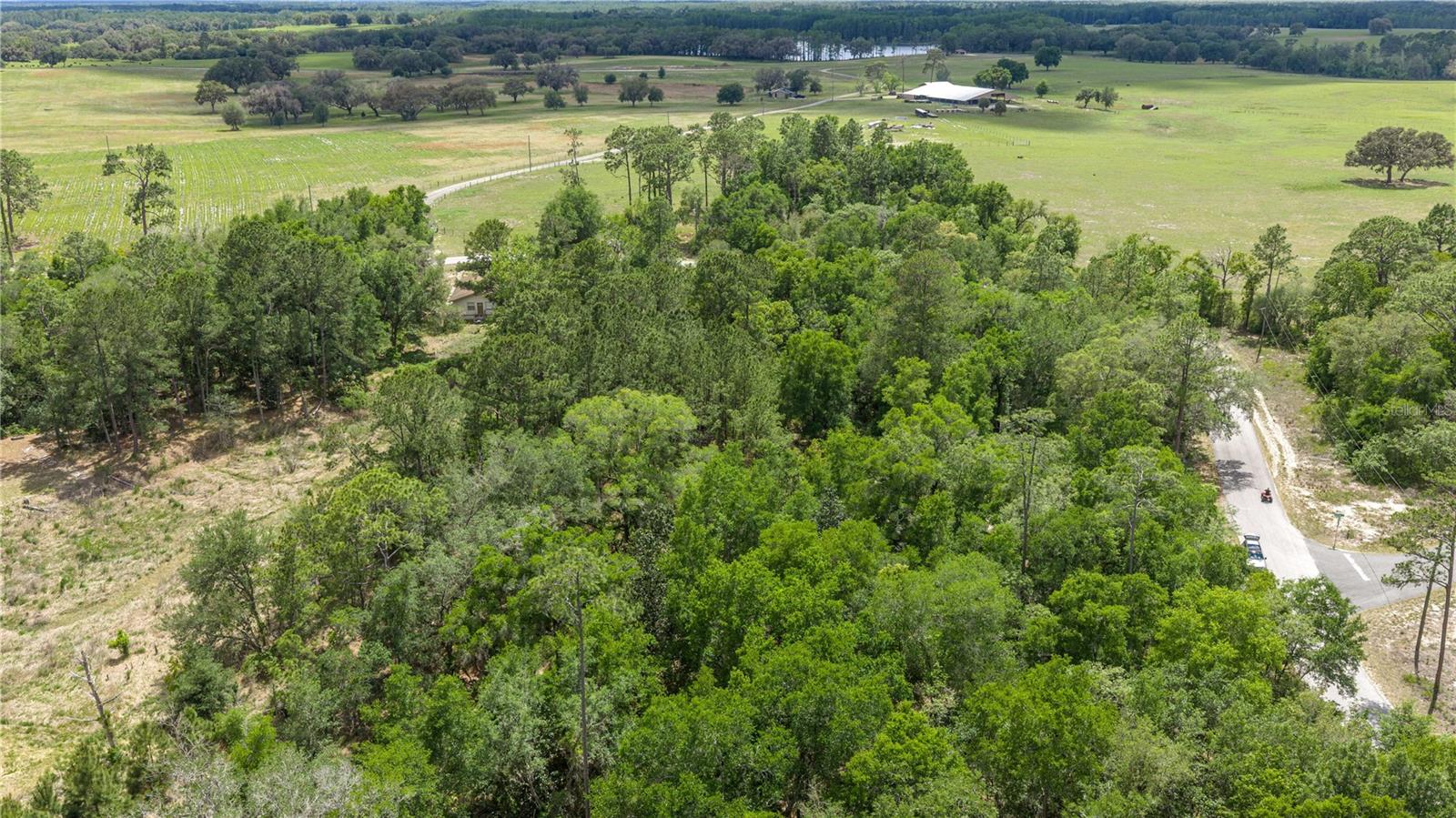TBD SW SHOREWOOD DR, DUNNELLON, FL — photo 3