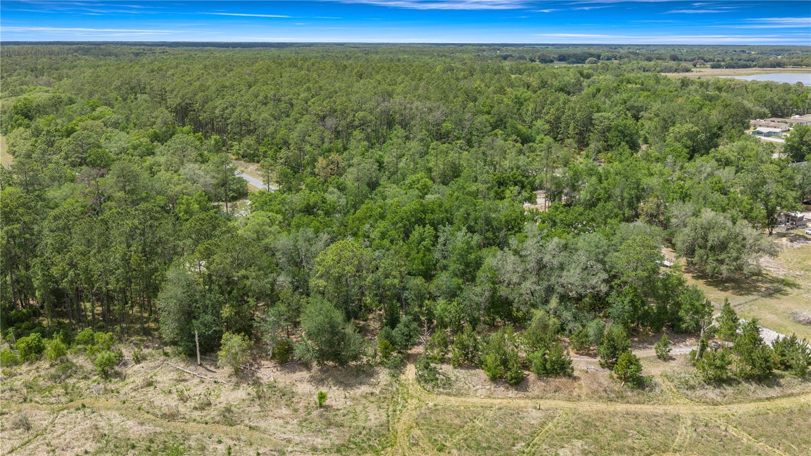 TBD SW SHOREWOOD DR, DUNNELLON, FL — photo 5