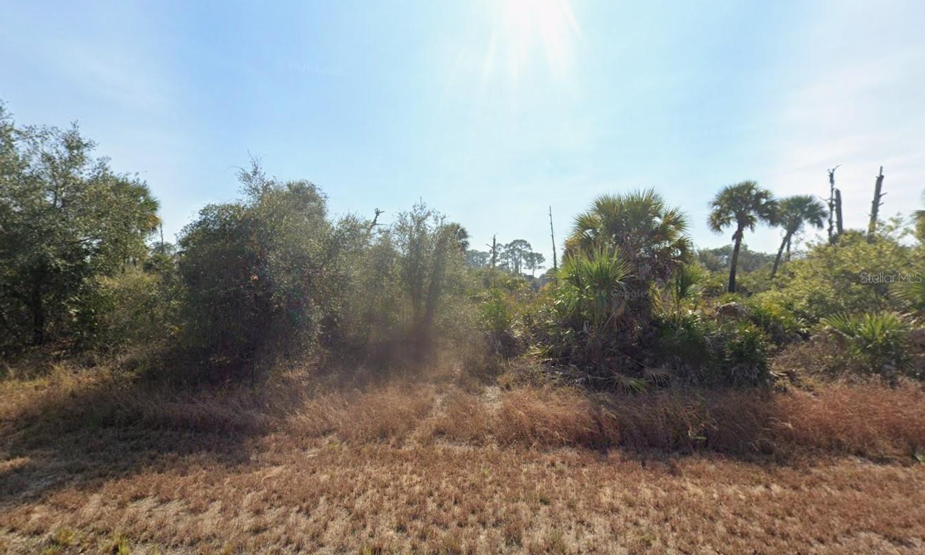 133 APOLLO AVE, LABELLE, FL