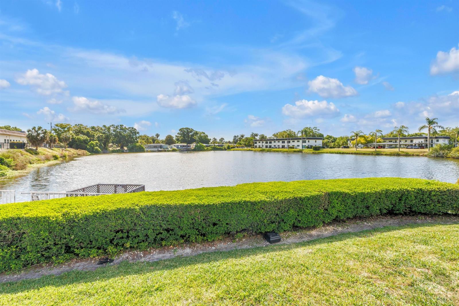 1655 S HIGHLAND AVE #J187, CLEARWATER, FL — photo 28