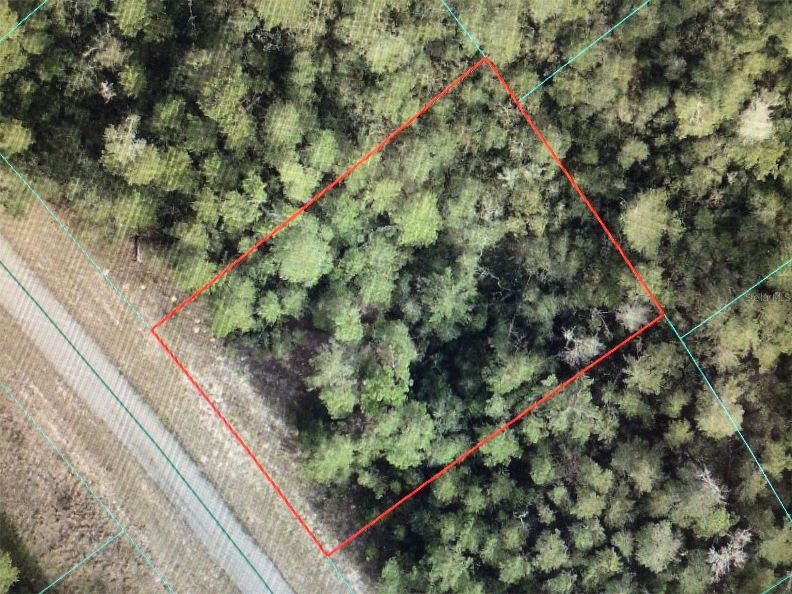 0 SW 34 CT, OCALA, FL — photo 4