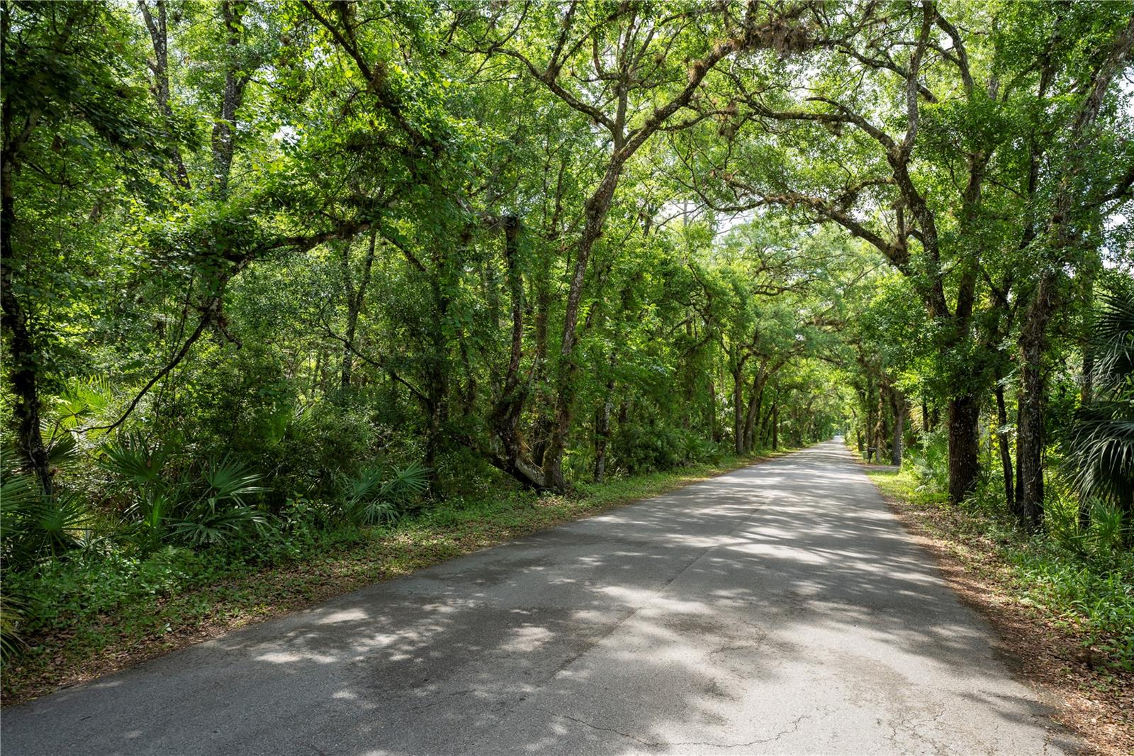 651 S COUNTY ROAD 13, ORLANDO, FL — photo 2