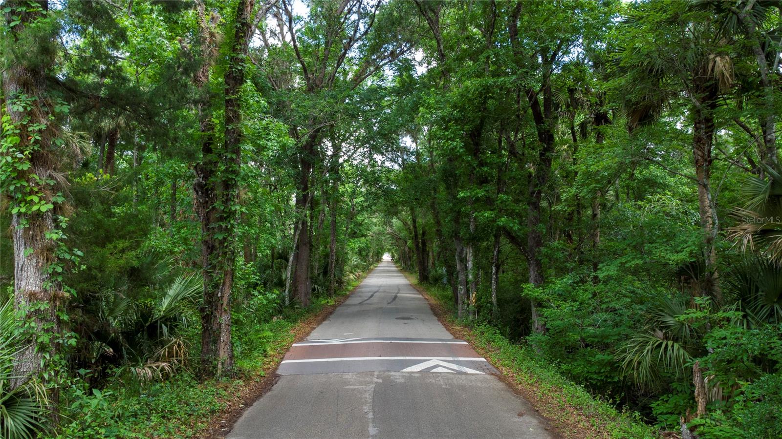 651 S COUNTY ROAD 13, ORLANDO, FL — photo 4