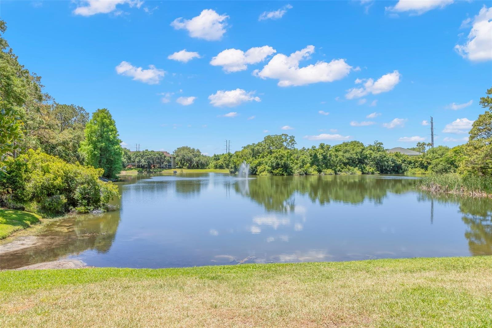 2690 CORAL LANDINGS BLVD #112, PALM HARBOR, FL — photo 17