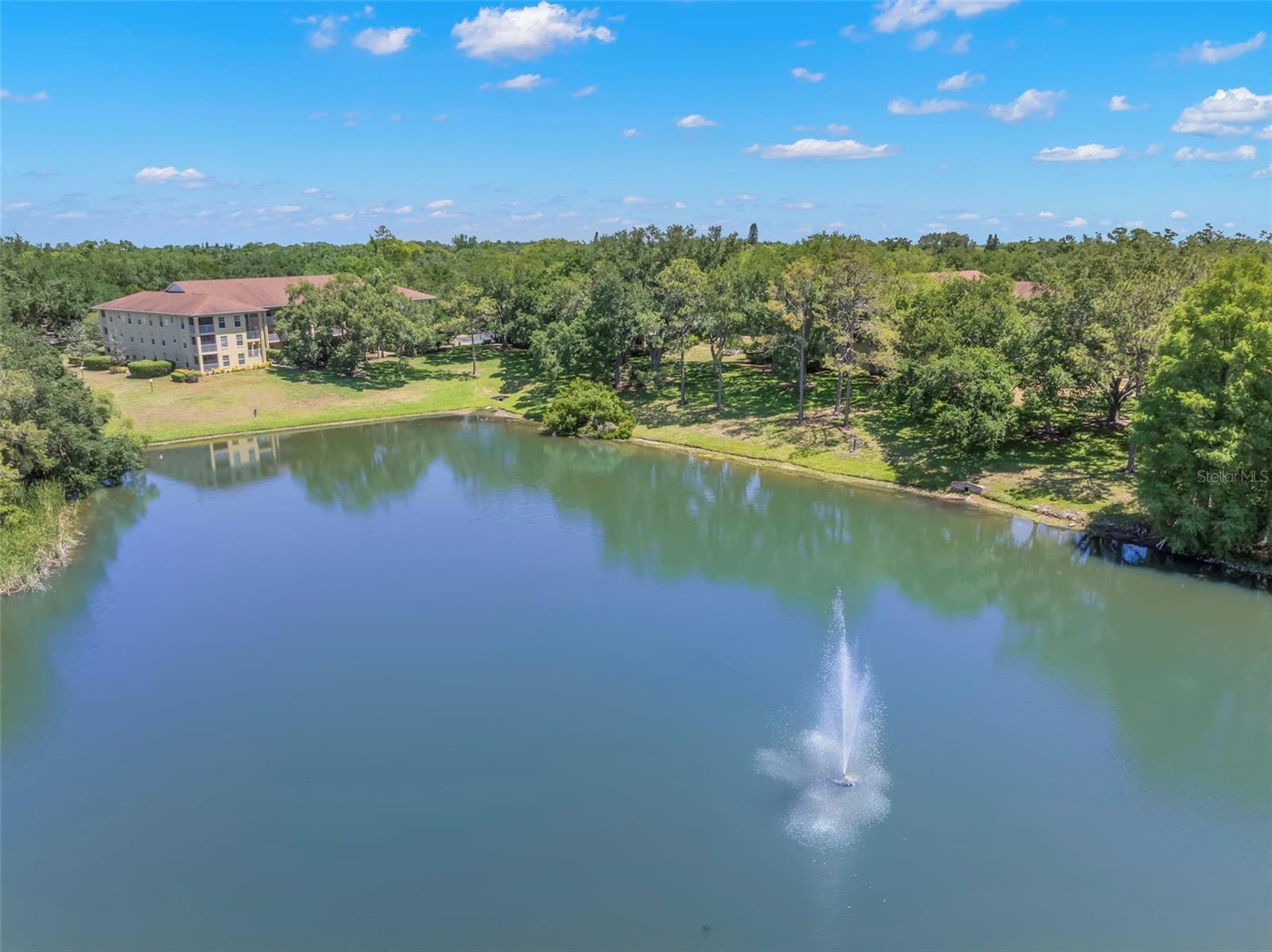 2690 CORAL LANDINGS BLVD #112, PALM HARBOR, FL — photo 42