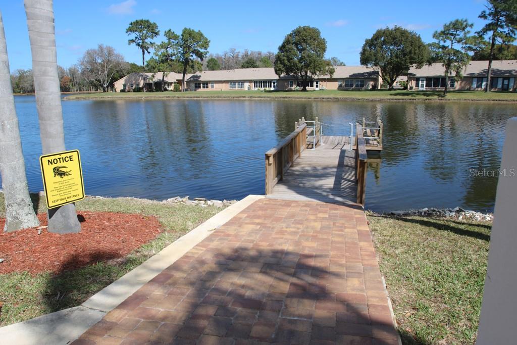 9058 ARUNDLE PL, NEW PORT RICHEY, FL — photo 36