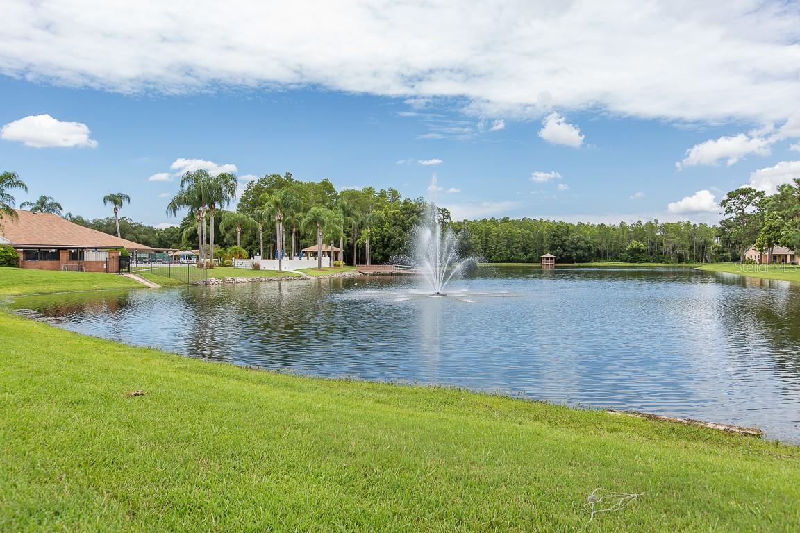 9058 ARUNDLE PL, NEW PORT RICHEY, FL — photo 37