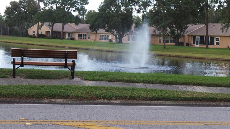 9058 ARUNDLE PL, NEW PORT RICHEY, FL — photo 43
