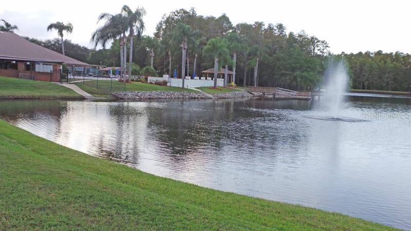 9058 ARUNDLE PL, NEW PORT RICHEY, FL — photo 44