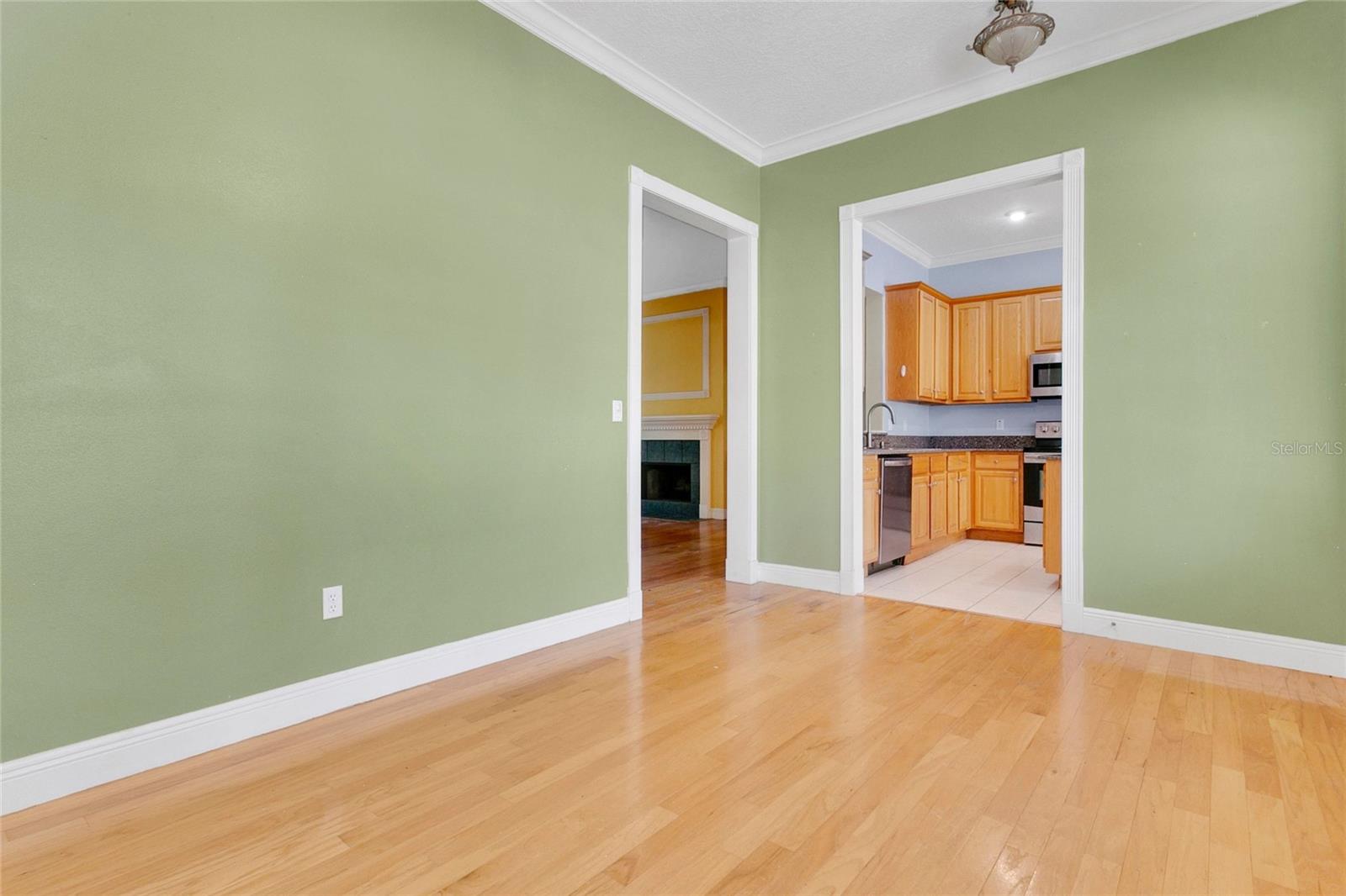 1311 HILLTOP DR, MOUNT DORA, FL — photo 21