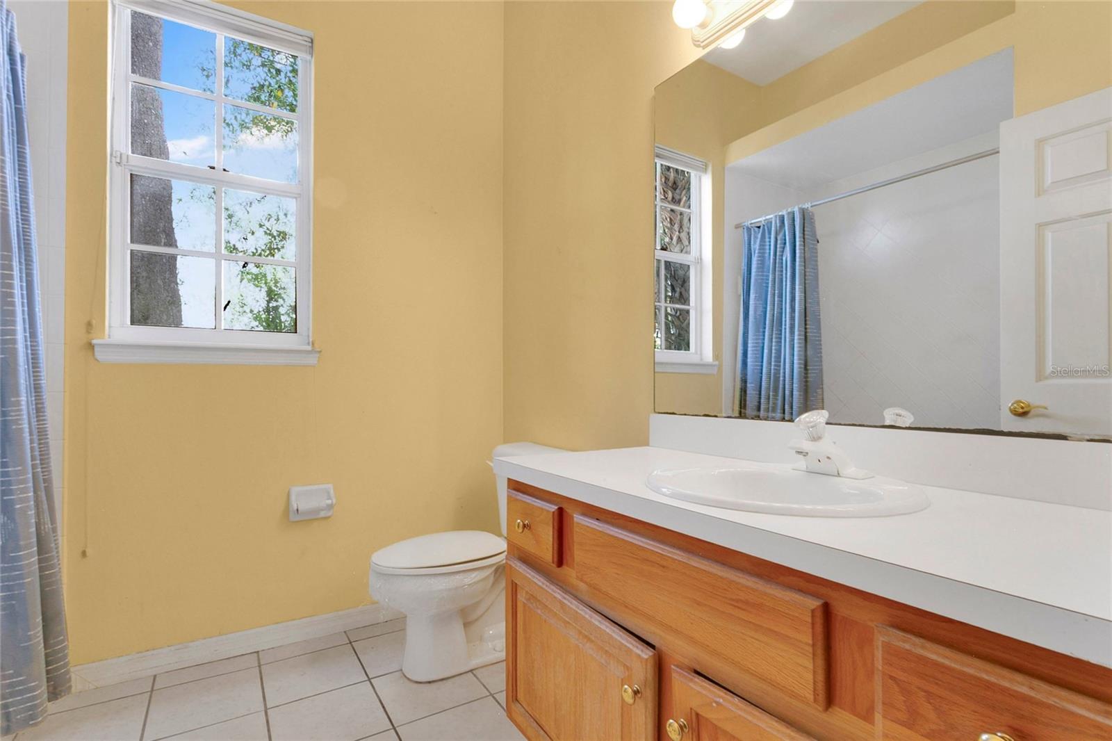 1311 HILLTOP DR, MOUNT DORA, FL — photo 33