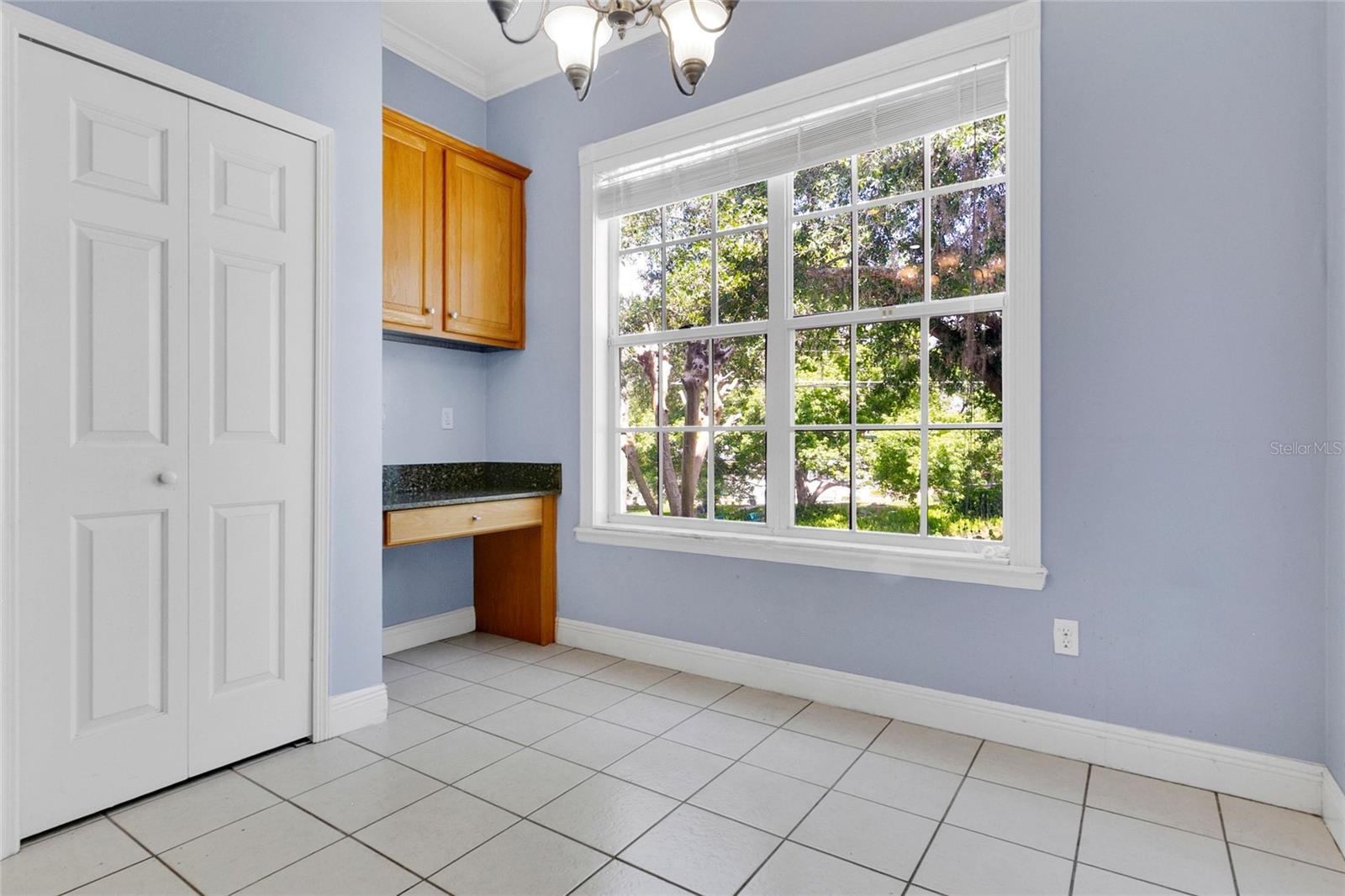 1311 HILLTOP DR, MOUNT DORA, FL — photo 37