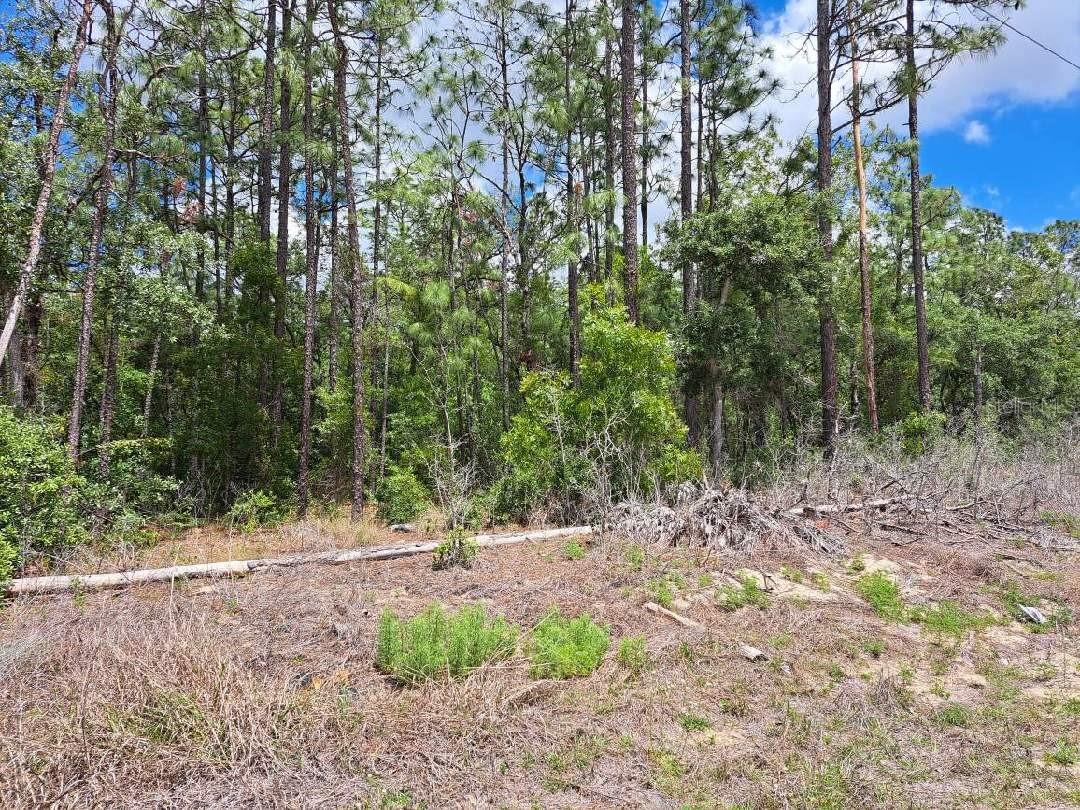 0 SW 64 STREET RD, OCALA, FL — photo 3