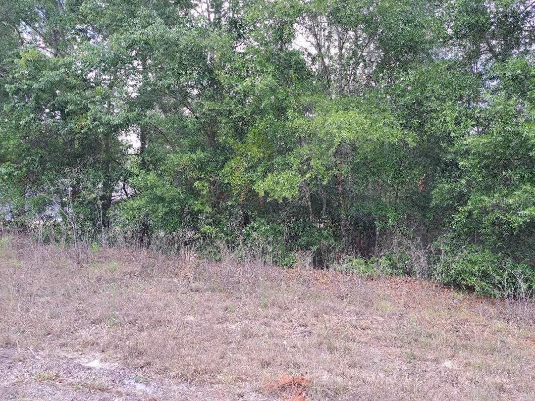 0 SW 64 STREET RD, OCALA, FL — photo 4