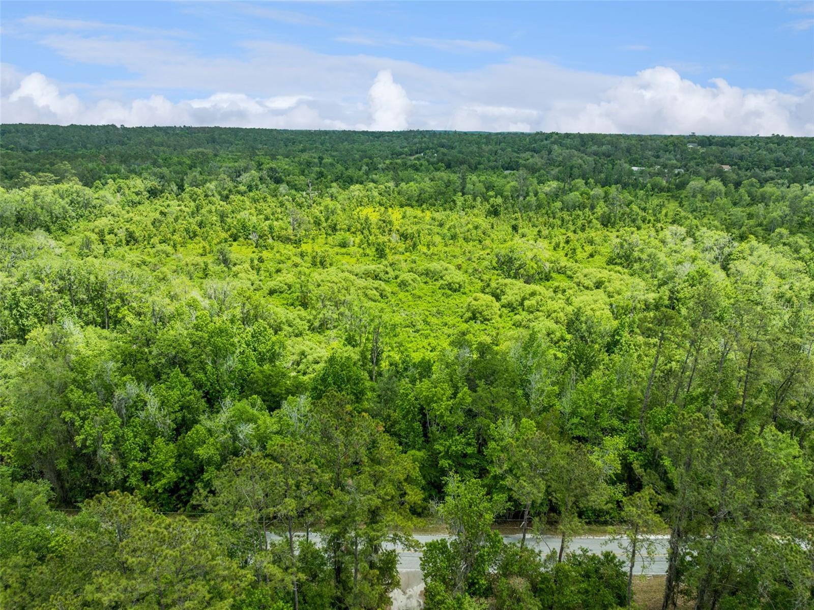 CULBREATH RD, BROOKSVILLE, FL — photo 8