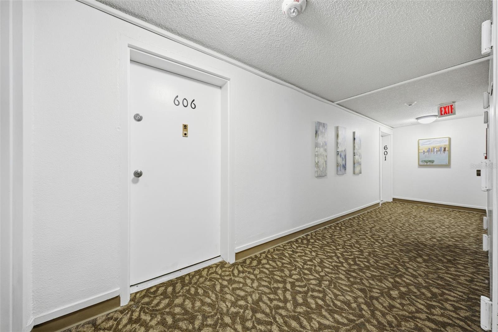 4141 BAYSHORE BLVD #606, TAMPA, FL — photo 3