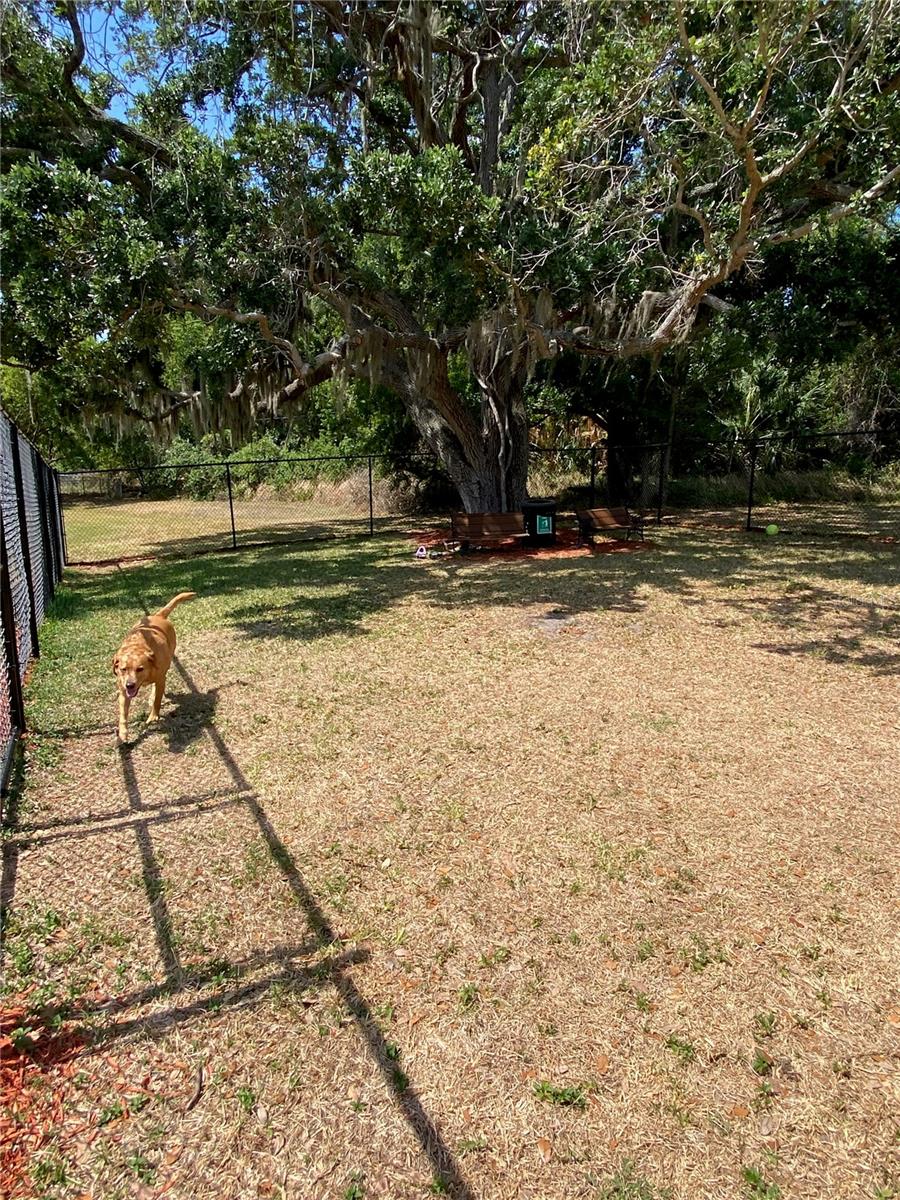 8330 FANTASIA PARK WAY, RIVERVIEW, FL — photo 59