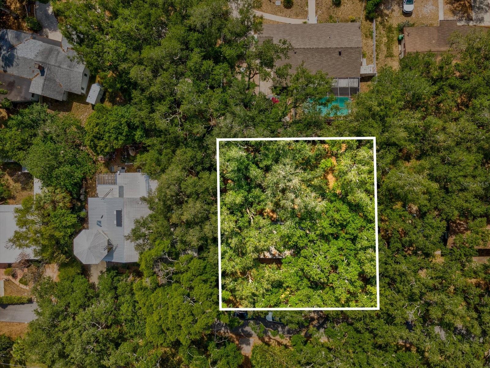 8512 N 29TH STREET, TAMPA, FL — photo 50