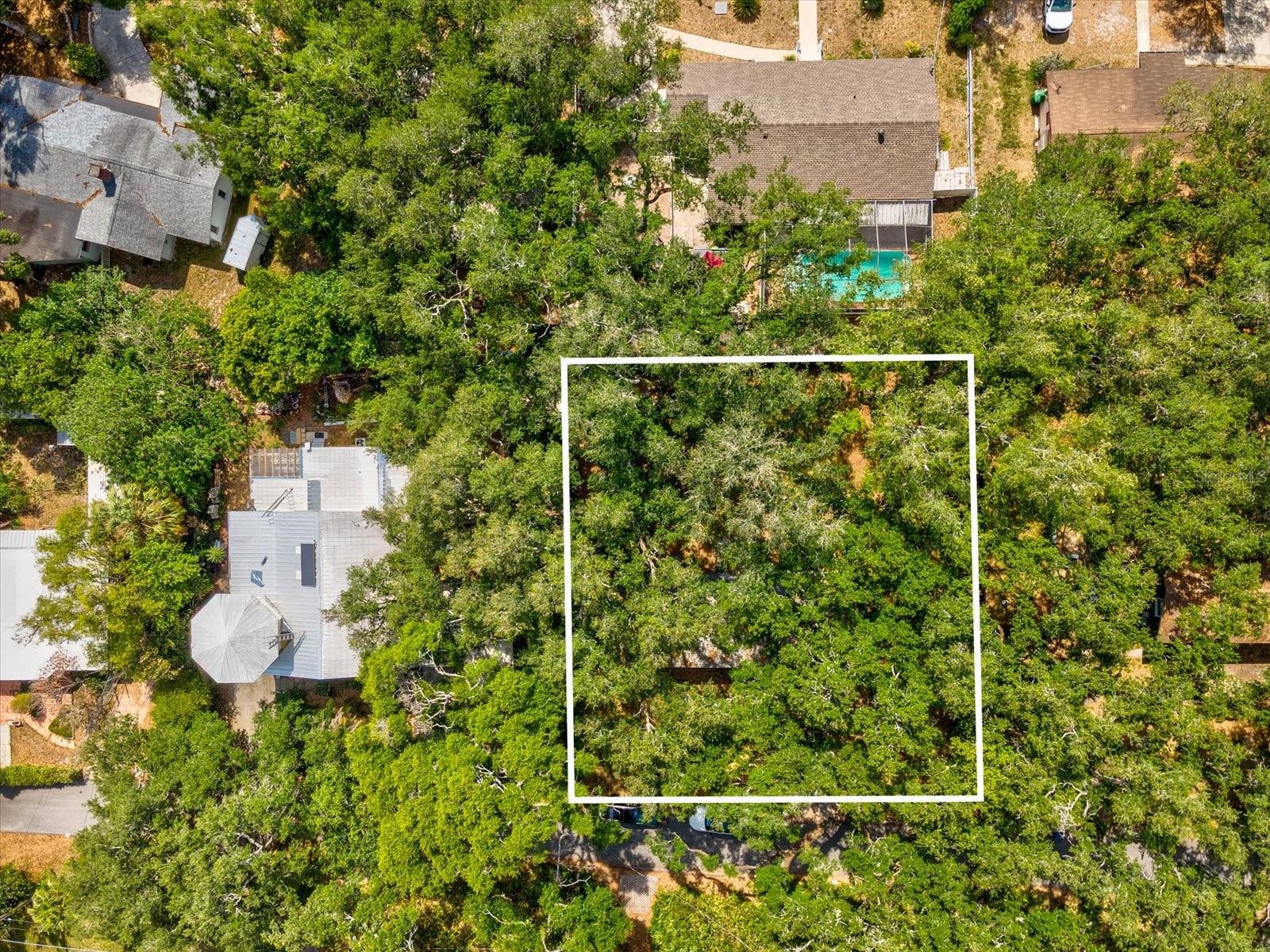 8512 N 29TH STREET, TAMPA, FL — photo 51