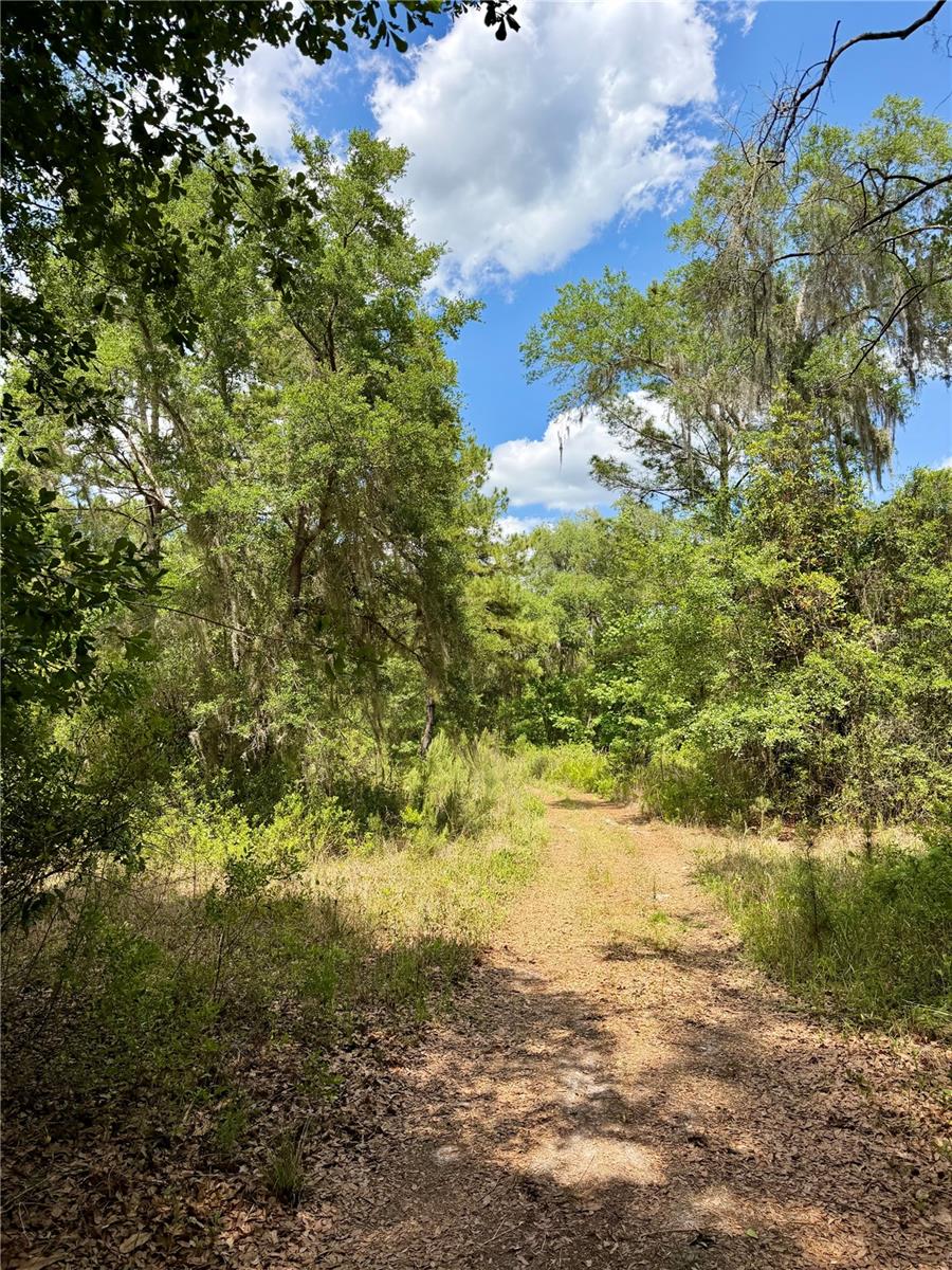16500 NE 48TH AVE, CITRA, FL — photo 5