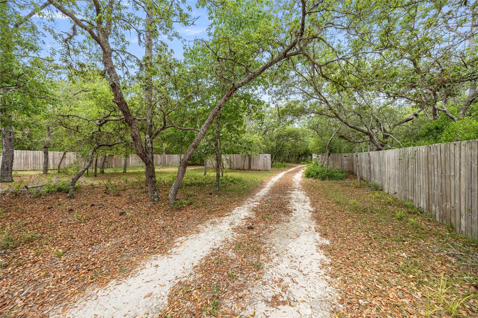 414 S SCHOOL AVE, LECANTO, FL — photo 69