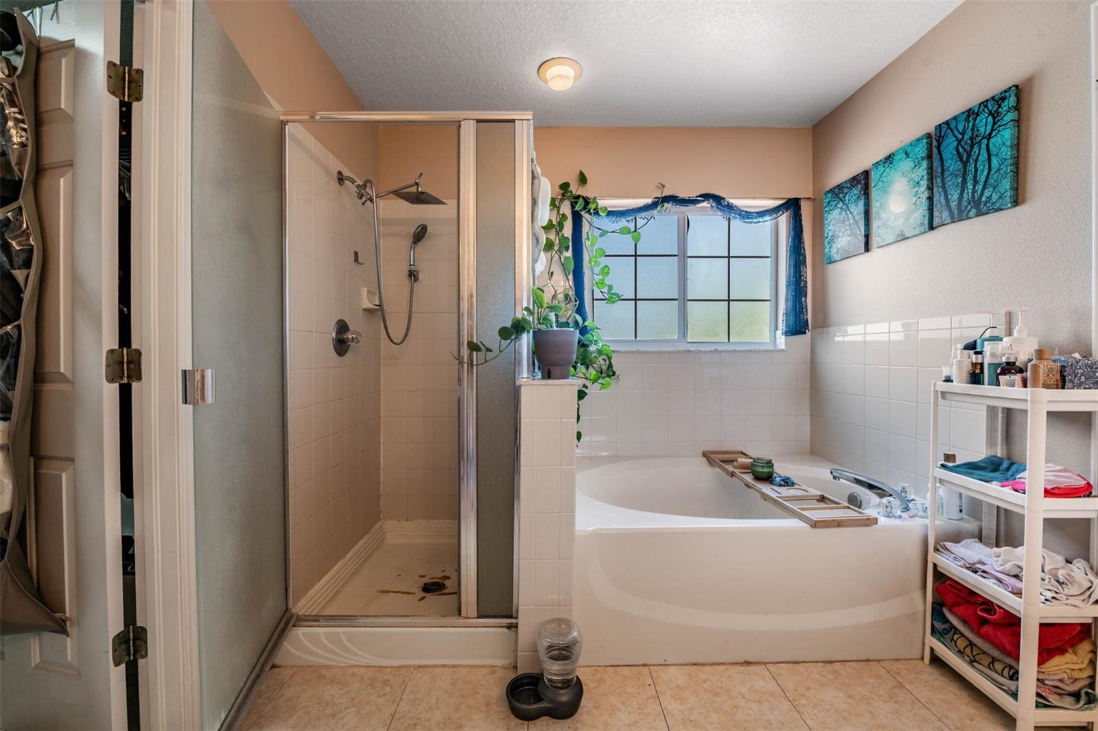 10945 SUBTLE TRAIL DR, RIVERVIEW, FL — photo 33