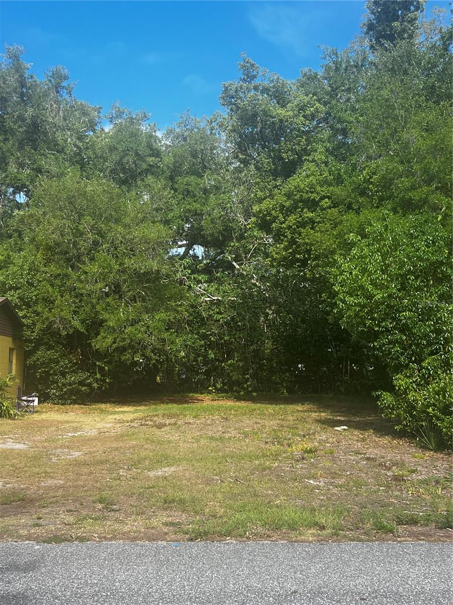 1109 STINSON ST, LEESBURG, FL — photo 3