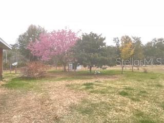 32420 COUNTY ROAD 473, LEESBURG, FL — photo 22