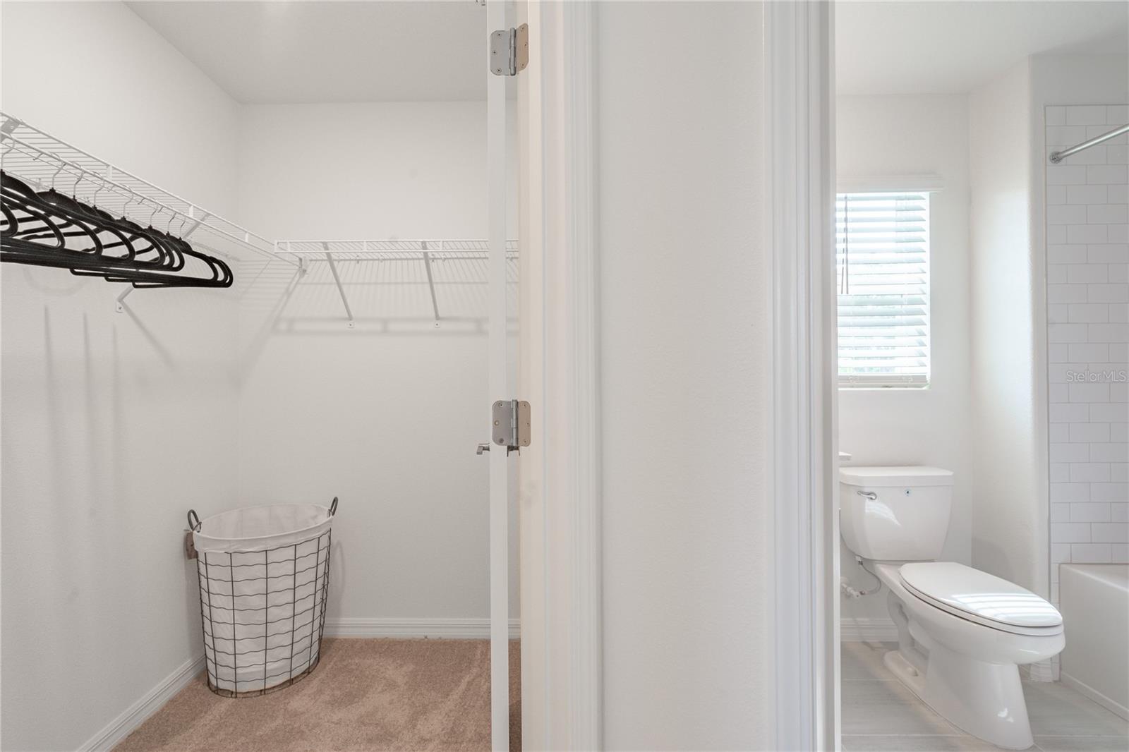 5095 CAPRI HARBOR DR, WIMAUMA, FL — photo 11