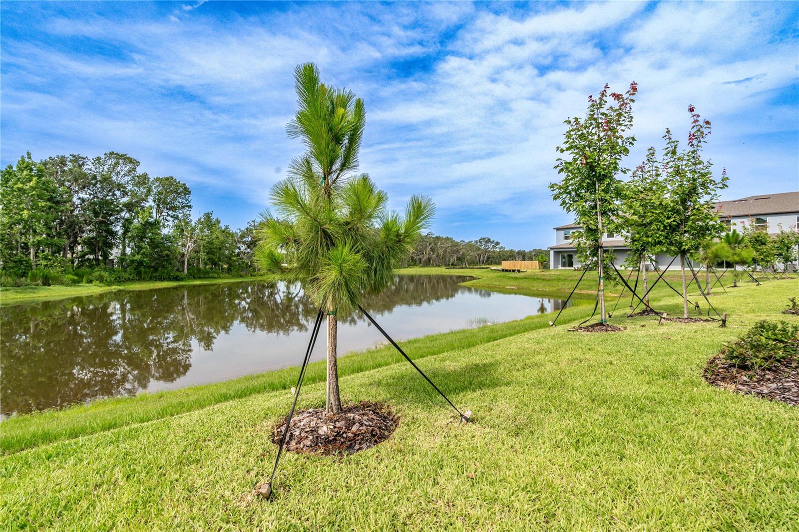 5095 CAPRI HARBOR DR, WIMAUMA, FL — photo 21