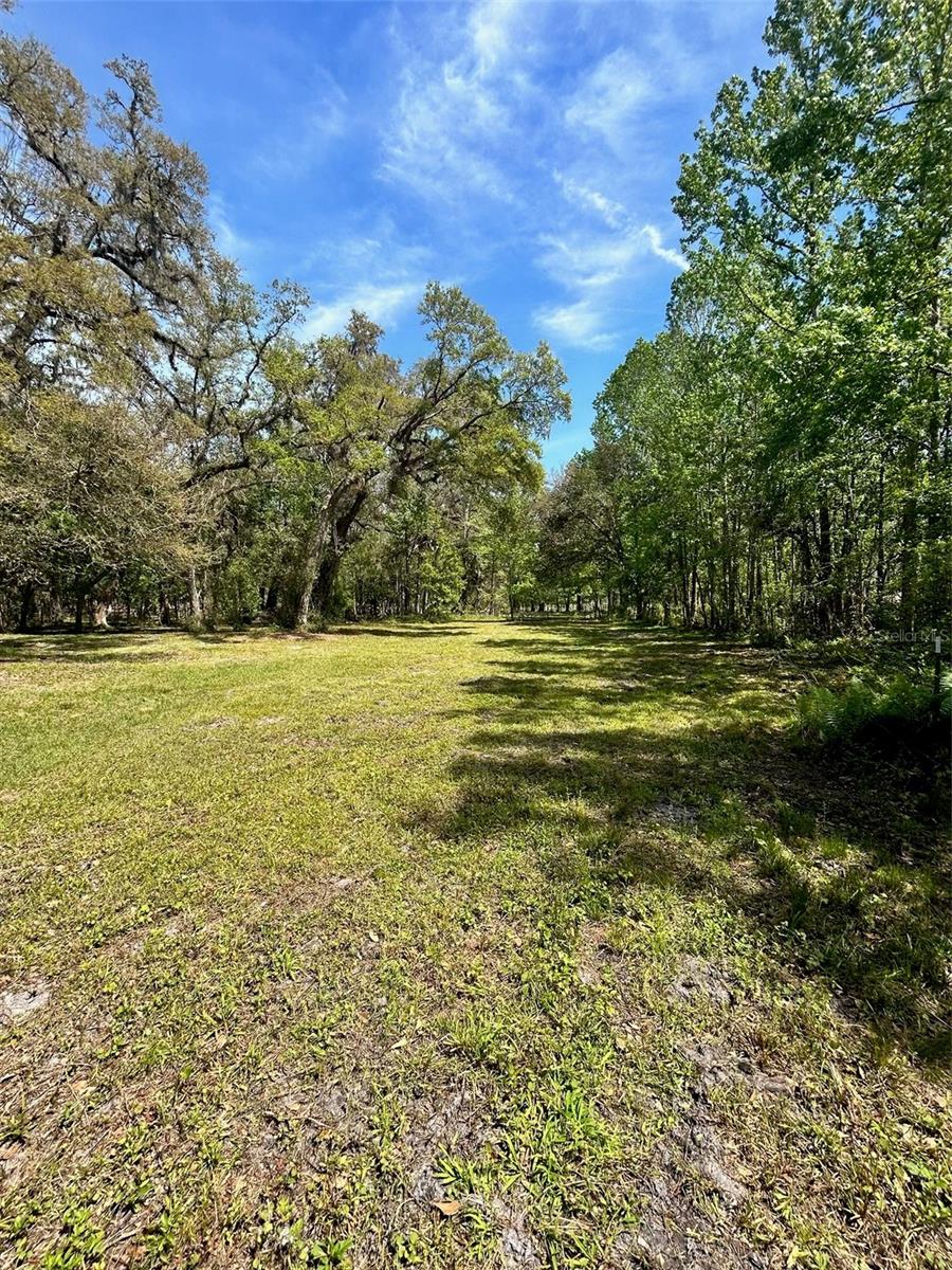 33234 CHIPCO RANCH RD, DADE CITY, FL — photo 9