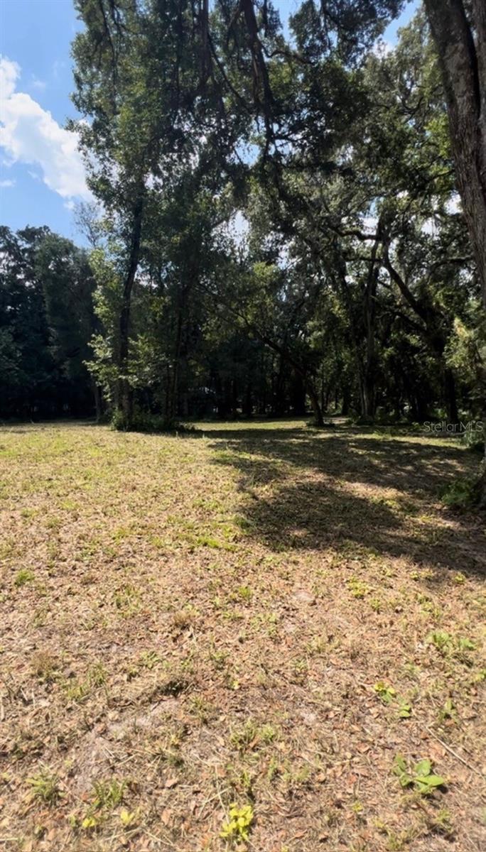 33234 CHIPCO RANCH RD, DADE CITY, FL — photo 10