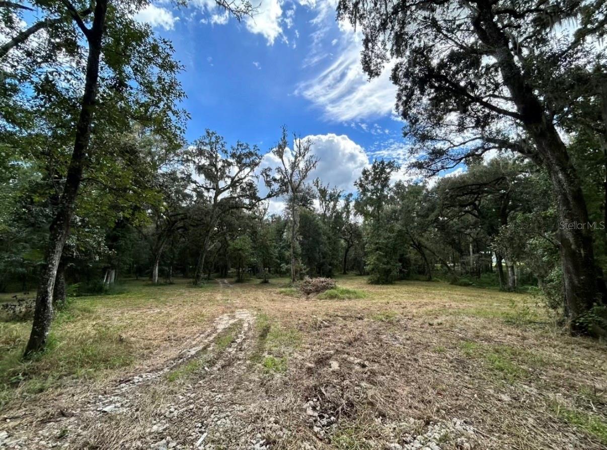 33234 CHIPCO RANCH RD, DADE CITY, FL — photo 13