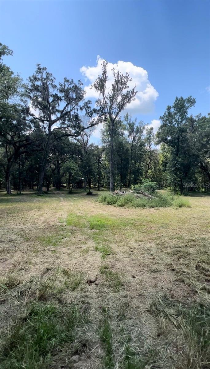 33234 CHIPCO RANCH RD, DADE CITY, FL — photo 14