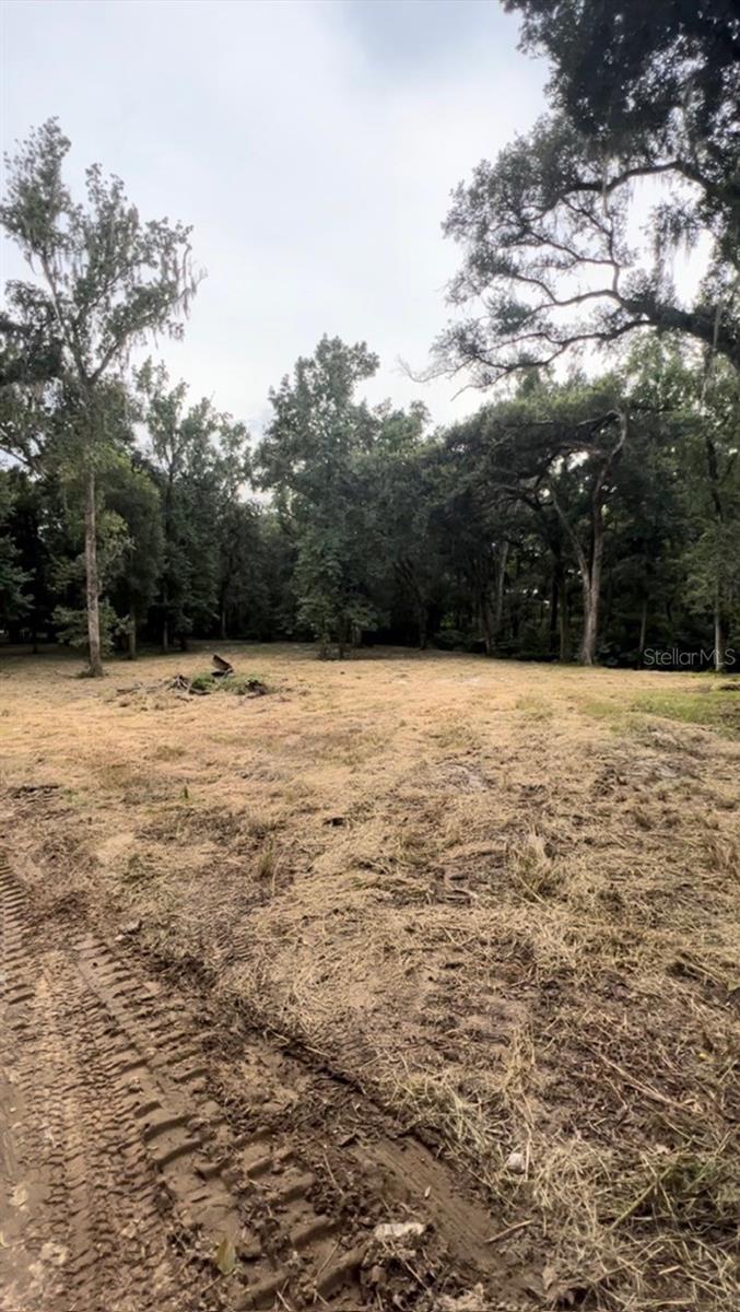 33234 CHIPCO RANCH RD, DADE CITY, FL — photo 15