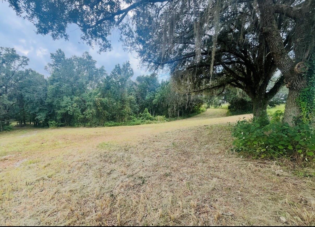 33234 CHIPCO RANCH RD, DADE CITY, FL — photo 16