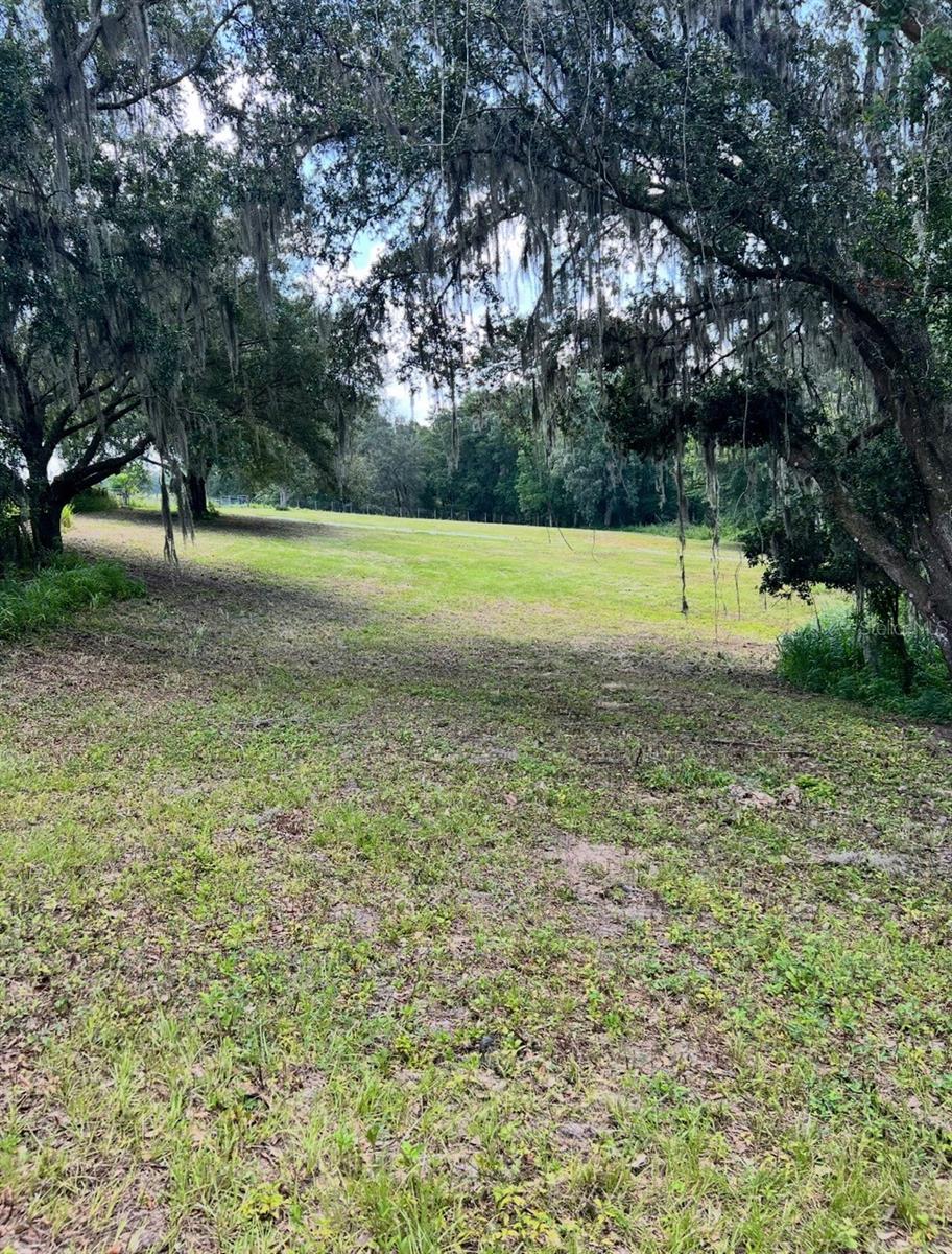 33234 CHIPCO RANCH RD, DADE CITY, FL — photo 17