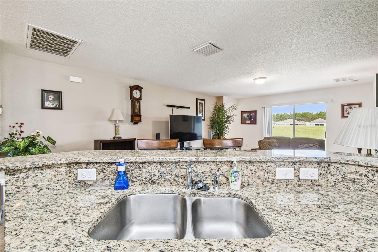 30821 WATER LILY DR, BROOKSVILLE, FL — photo 7