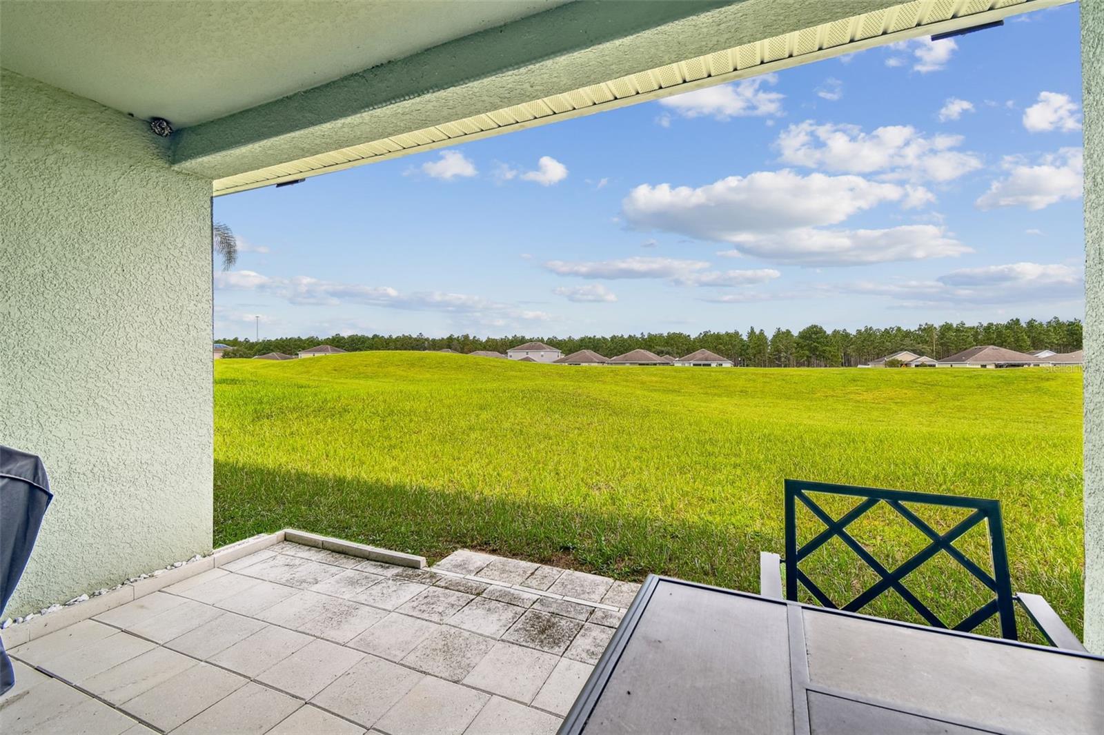 30821 WATER LILY DR, BROOKSVILLE, FL — photo 33