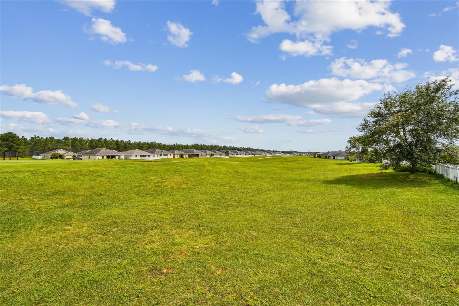 30821 WATER LILY DR, BROOKSVILLE, FL — photo 42