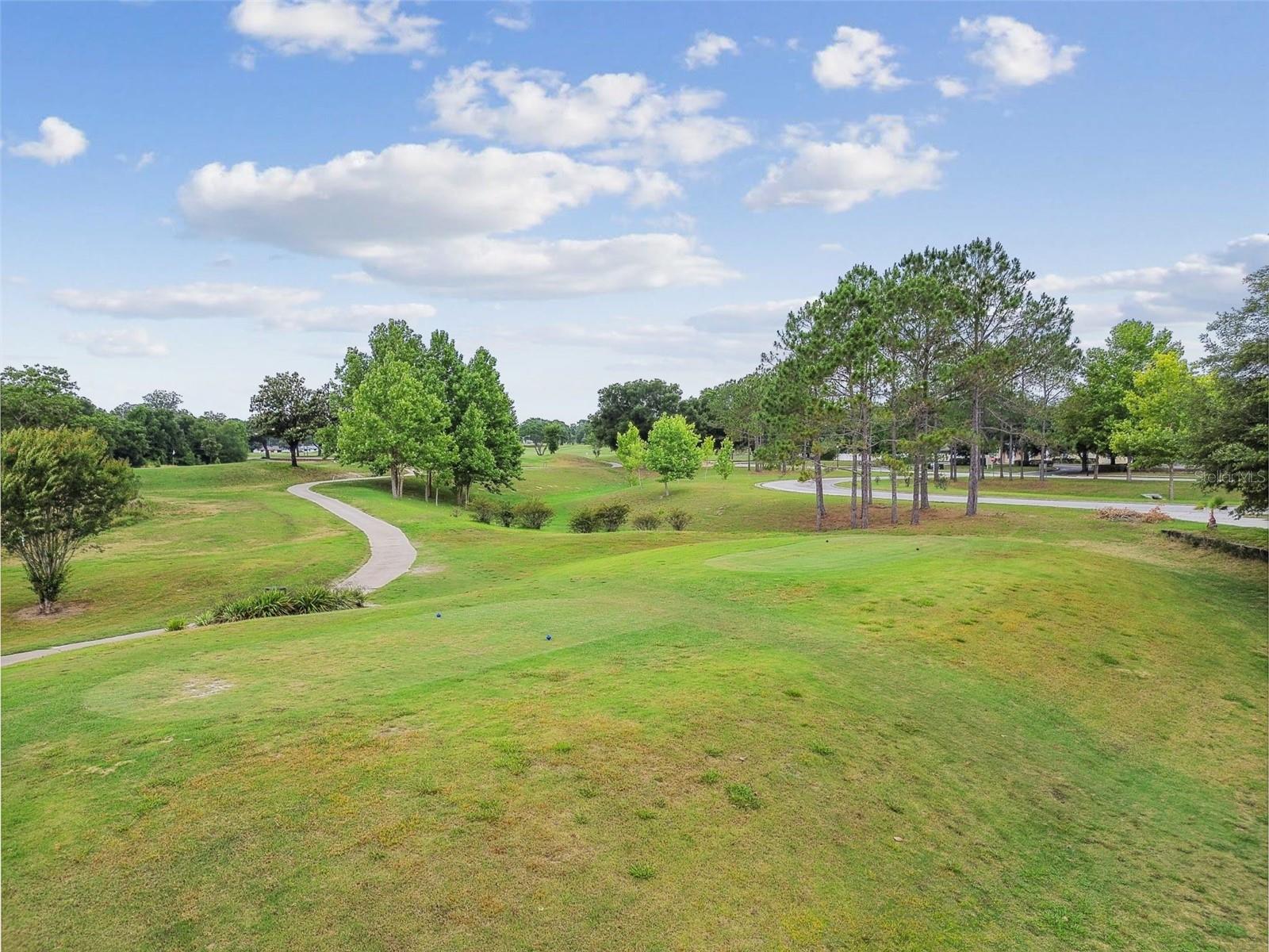 30821 WATER LILY DR, BROOKSVILLE, FL — photo 59