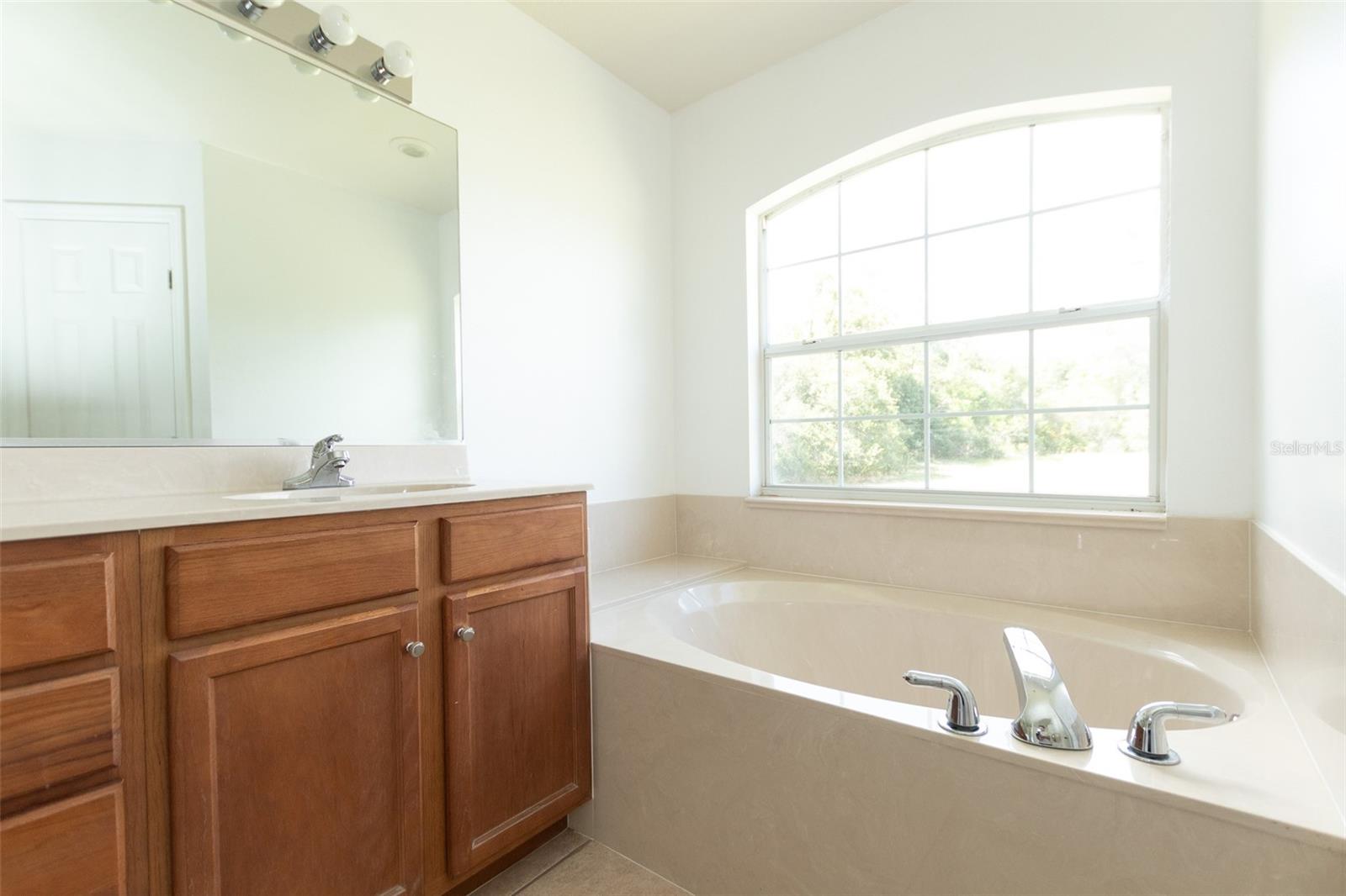 3858 SW 161ST ST, OCALA, FL — photo 41