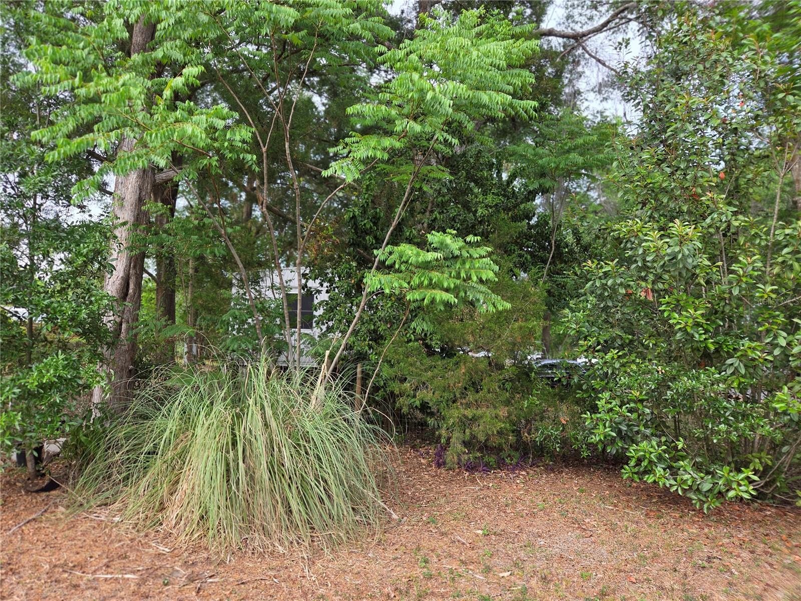 421 MARGARET ST, BRONSON, FL — photo 31