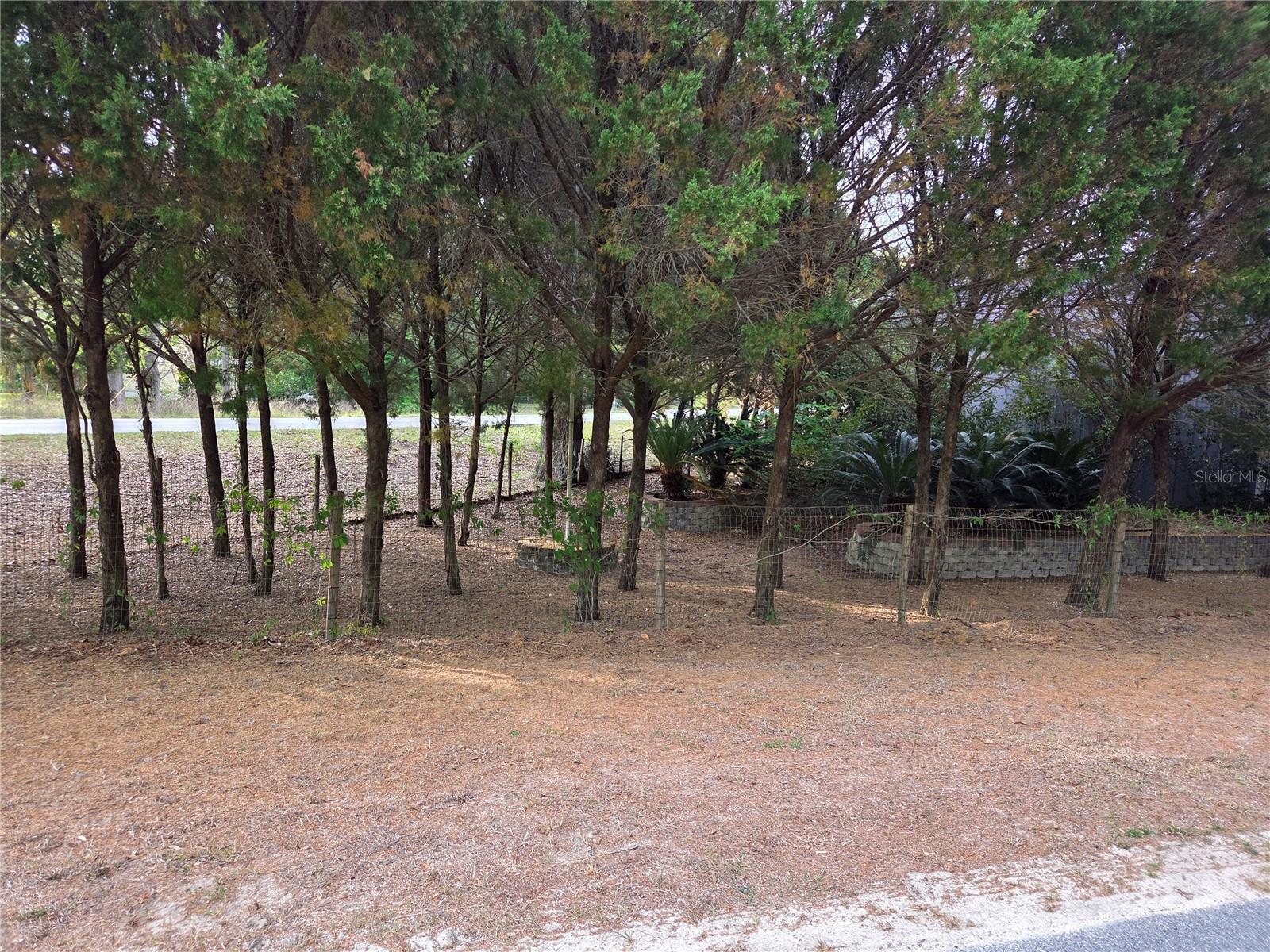 421 MARGARET ST, BRONSON, FL — photo 75