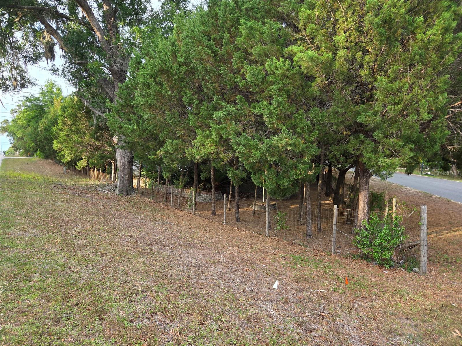 421 MARGARET ST, BRONSON, FL — photo 77